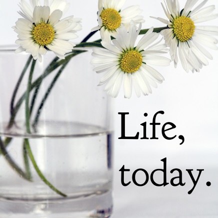 Menghargai Kehidupan